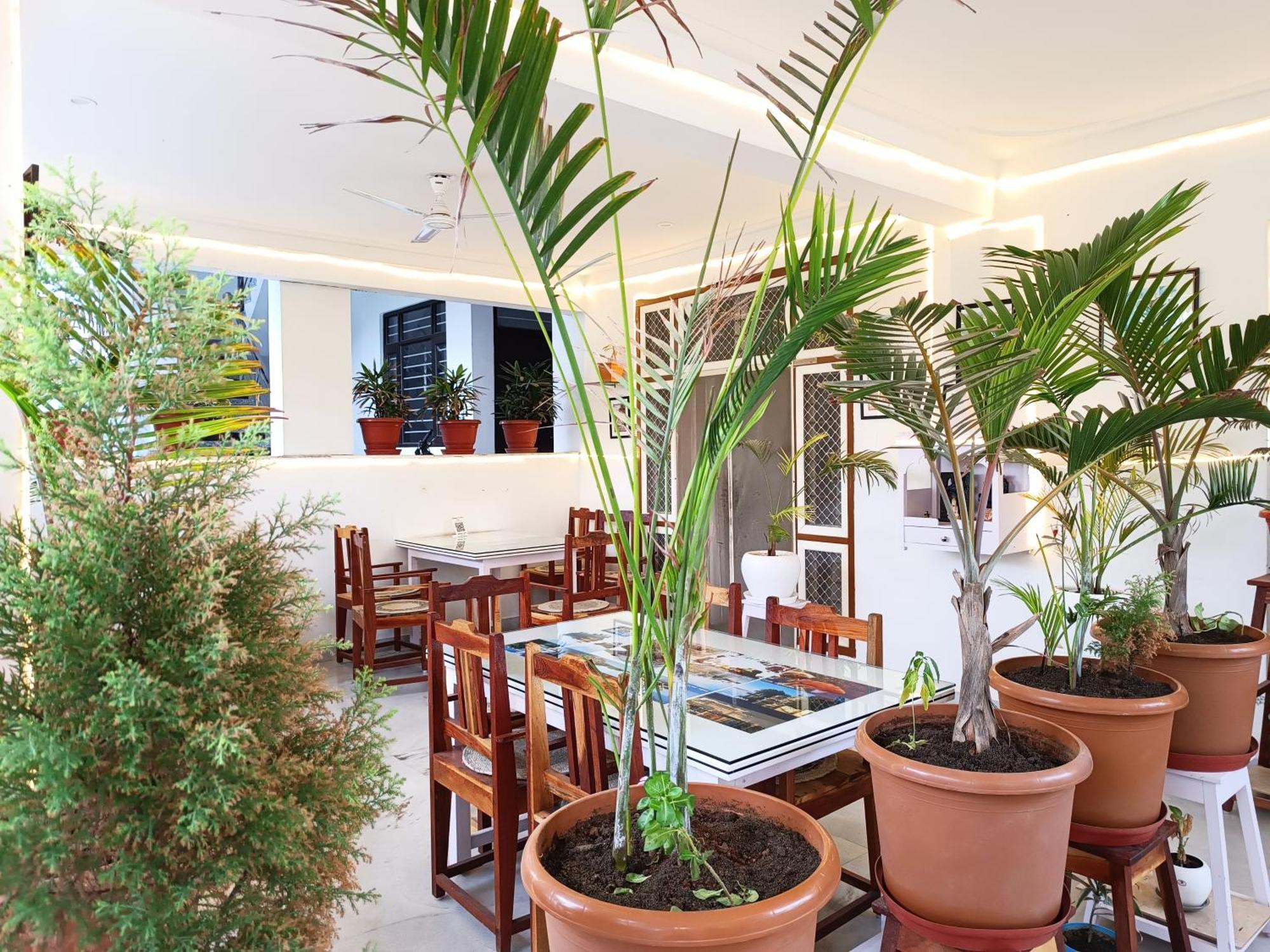 Apartament Choudhary White House Udajpur Zewnętrze zdjęcie